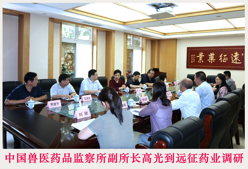 中國獸醫(yī)藥品監(jiān)察所副所長高光到遠征藥業(yè)調研